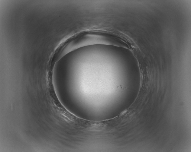 X0000081351160200701111447