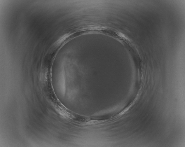 X0000081351161200701111447