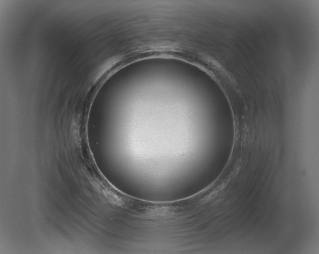 X0000081351162200701111447