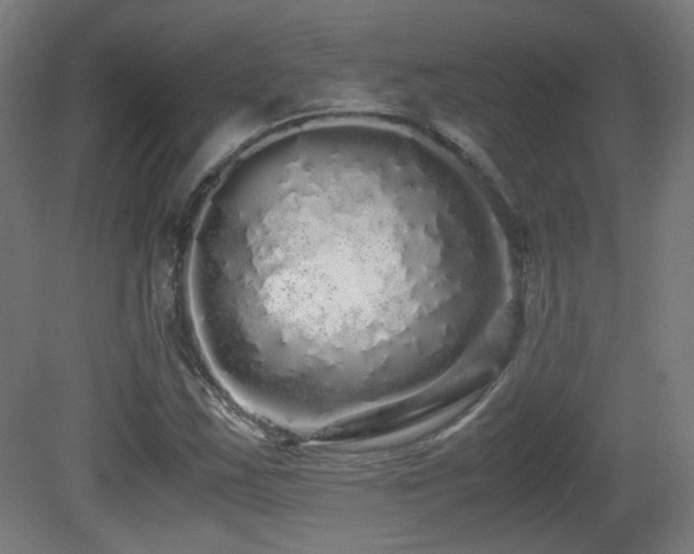 X0000081351163200701111447