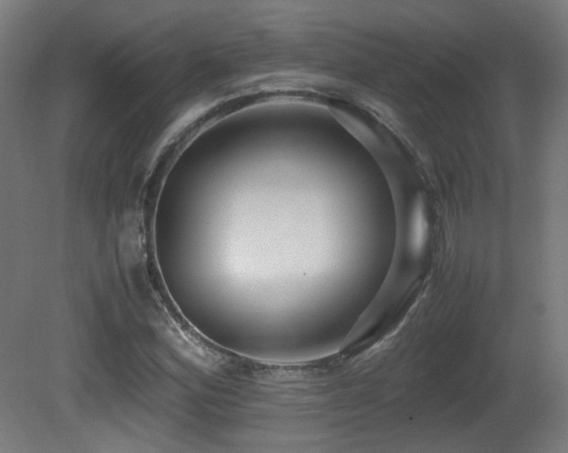 X0000081351164200701111447