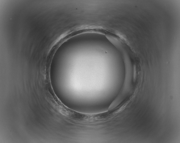 X0000081351165200701111447