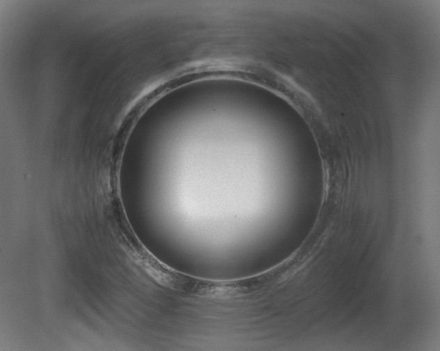 X0000081351166200701111447