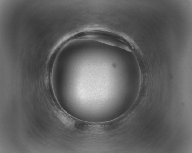 X0000081351167200701111447