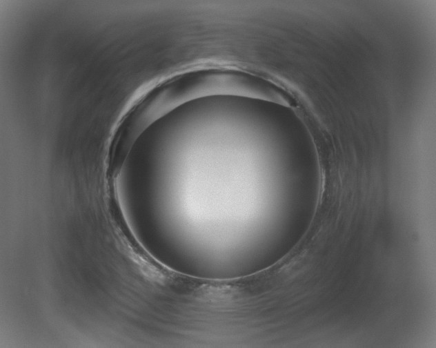 X0000081351168200701111447