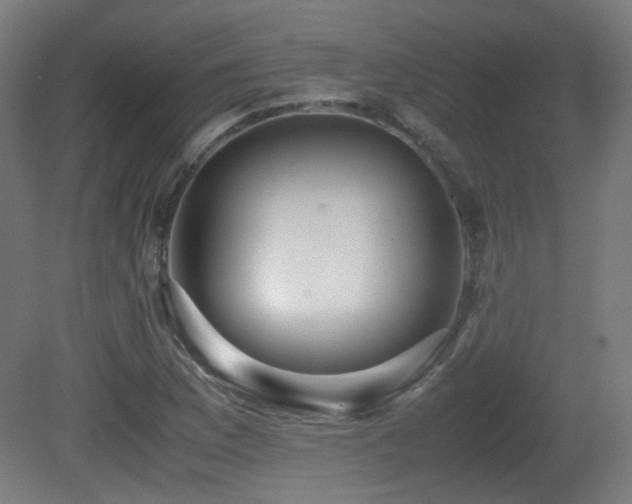 X0000081351169200701111447