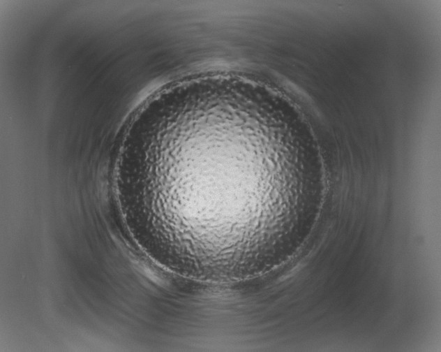 X0000081351170200701111447