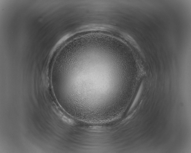 X0000081351172200701111447