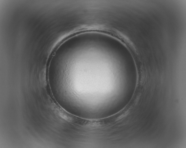 X0000081351174200701111447