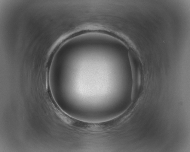 X0000081351175200701111447