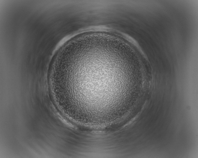 X0000081351176200701111447