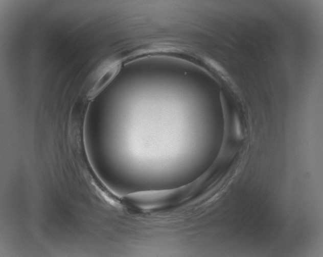 X0000081351177200701111447