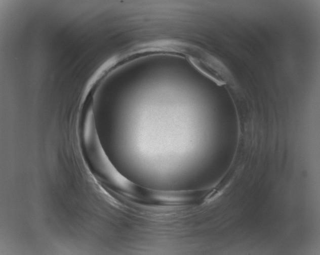X0000081351180200701111447