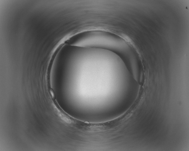 X0000081351181200701111447