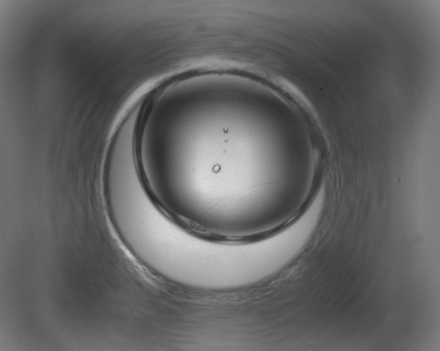 X0000081351183200701111447