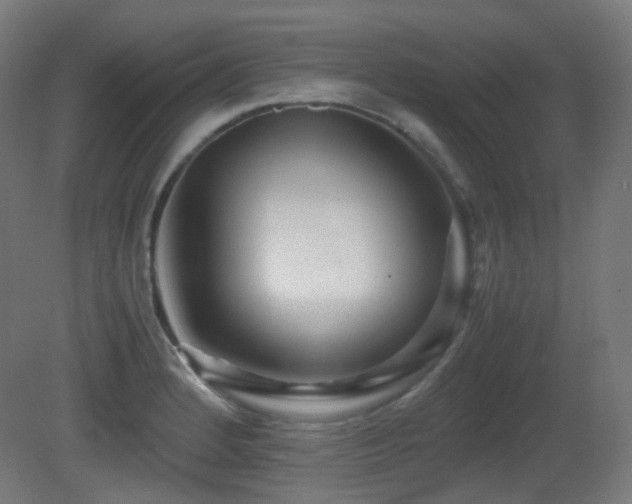 X0000081351184200701111447