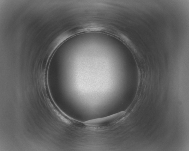 X0000081351186200701111447