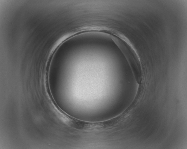 X0000081351187200701111447