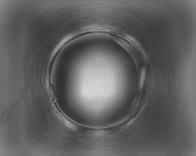 X0000081351188200701111447