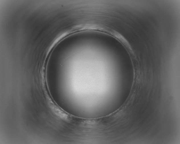 X0000081351190200701111447