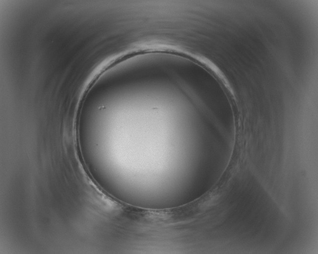 X0000081351191200701111447