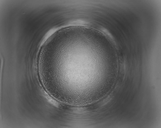 X0000081351192200701111447