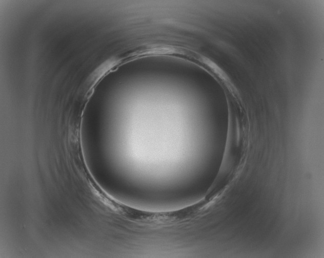 X0000081351193200701111447
