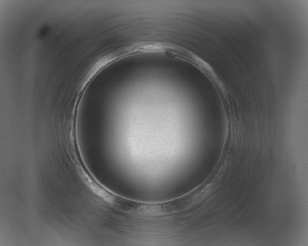 X0000081351194200701111447