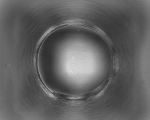 X0000081351196200701111447
