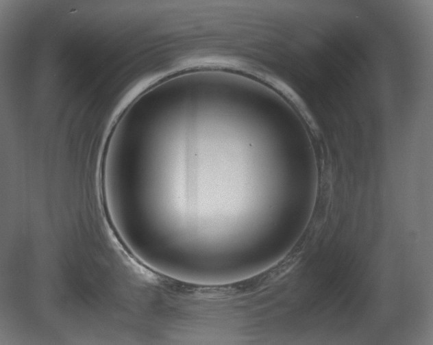 X0000081351199200701111447