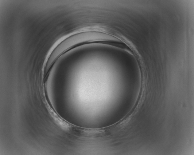 X0000081351200200701111447