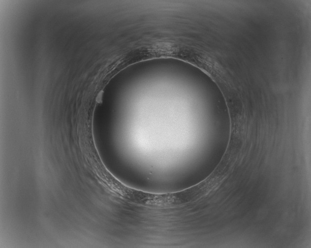 X0000081351201200701111446