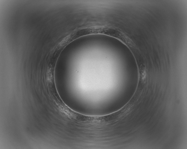 X0000081351204200701111446