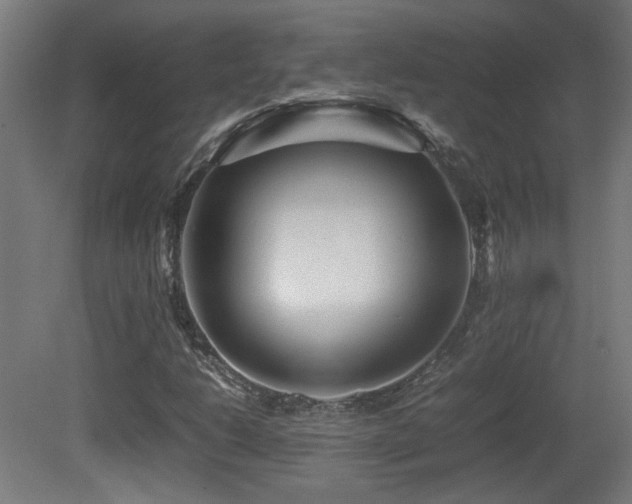 X0000081351206200701111446