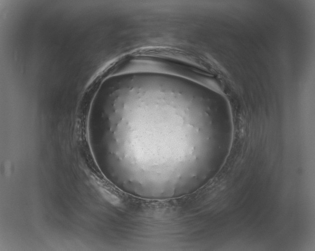 X0000081351208200701111446