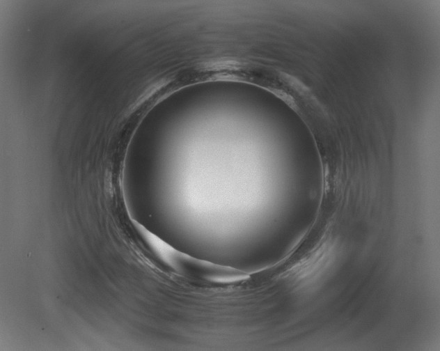X0000081351209200701111446