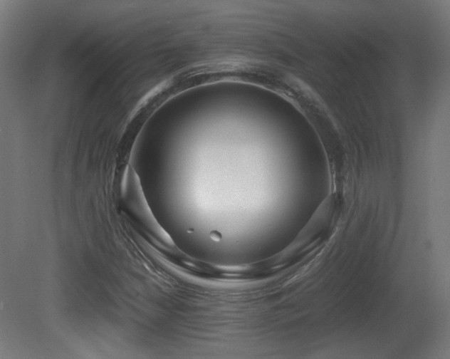 X0000081351210200701111446