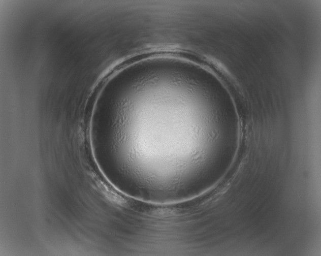 X0000081351212200701111446
