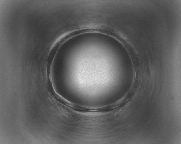 X0000081351214200701111446