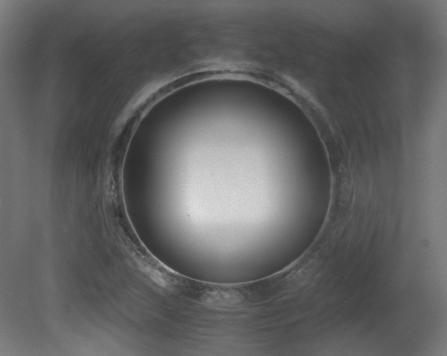 X0000081351215200701111446