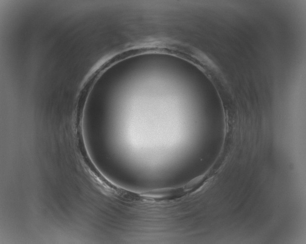 X0000081351216200701111446