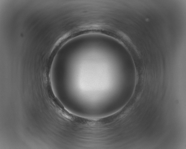 X0000081351218200701111446