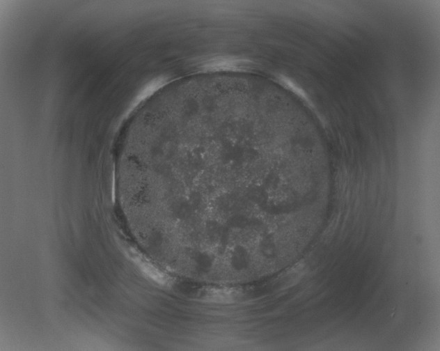 X0000081351219200701111446
