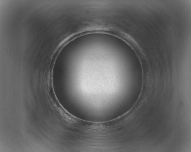 X0000081351220200701111446