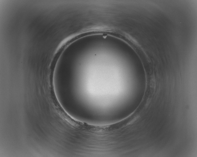 X0000081351222200701111446