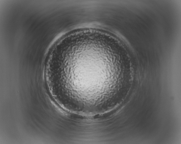 X0000081351224200701111446
