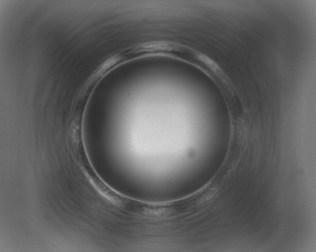 X0000081351225200701111446
