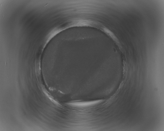 X0000081351226200701111446