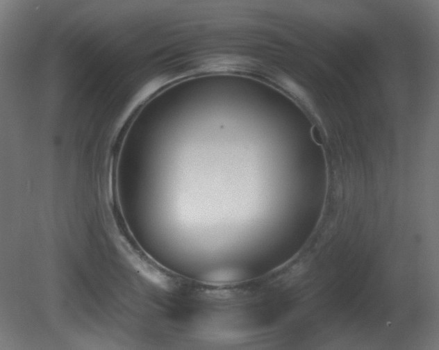 X0000081351227200701111446