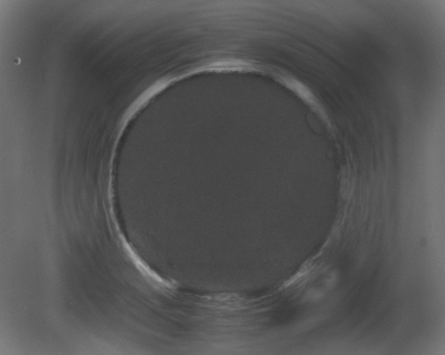 X0000081351229200701111446